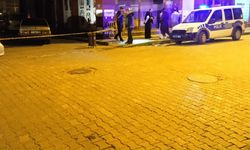 Cinayetle sonuçlanan kavgaya karışan 2 kardeşe 15’er yıl hapis cezası