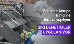 Avrupa Birliği’ne ihracat yapan Beypiliç’de denetimler sıkı tutuluyor
