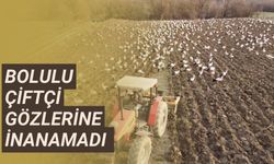 Bolulu çiftçi gözlerine inanamadı