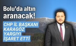 CHP Bolu İl Başkanı Karagöz, altın madenini için yargıyı işaret etti