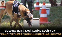 Uyuşturucu tacirlerinin korkulu rüyası: "Pako" ve "Hera"
