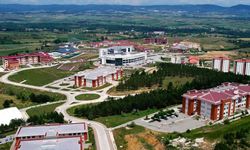 Kastamonu Üniversitesi’nde simetrik tasarımların mozaik yapısı araştırılacak
