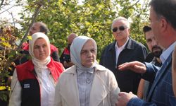 Zirai donun etkilediği yerde inceleme