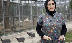 Sakarya'daki tabiat parkında görevli veterinerler yaralı yaban hayvanlarını hayata bağlıyor