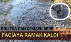 Bolu’da can çekişen dere faciaya ramak kaldı