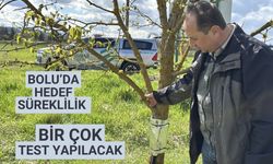 Bolu'da fındığın kuraklığa dayanıklılığı belirlenerek üretimde süreklilik hedefleniyor