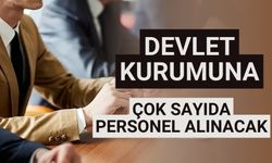 Devlet kurumuna çok sayıda personel alınacak