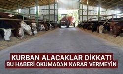 Kurban alacaklar dikkat! bu haberi okumadan karar vermeyin