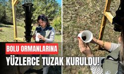 Ormanda zararlı avı sürüyor, yüzlerce tuzak kuruldu