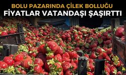 Zirai donun ardından pazarda çilek bolluğu