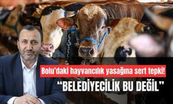 Sadettin Baskın, Bolu’daki hayvan üretimi yasağına tepki gösterdi