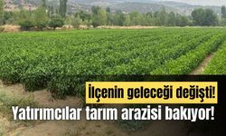 Taşlıyayla Göleti projesi sonrası, ilçede tarım arazisine ilgi arttı!