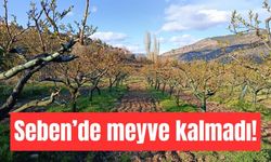Seben'i zirai don vurdu