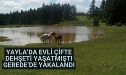 Yayla’da evli çifte dehşeti yaşatmıştı Gerede’de yakalandı