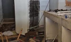 Ayılar belediye başkanının evine girdi
