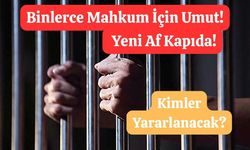 İşte Kapsam Dışı Kalan Suçlar!
