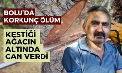 Kestiği ağacın altında kalan adam hayatını kaybetti