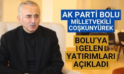AK Parti Bolu Milletvekili Coşkunyürek'ten 2025 yılı KÖYDES yatırımları açıklaması