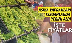 Seben asma yaprakları tezgahlara indi