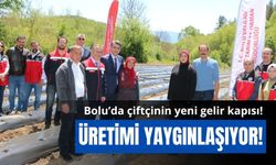 Devlet desteğiyle çilek üretimi yaygınlaştırılıyor