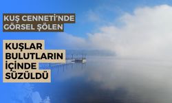 Yeniçağa Kuş Cenneti'nde sis güzel görüntü oluşturdu