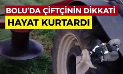 Çiftçinin dikkati 8 köpek yavrusunu ölümden kurtardı