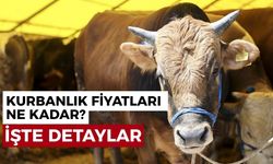 Kurbanlık fiyatları açıklandı