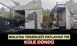 Lastiği patlayarak alev alan tır küle döndü