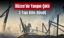 Düzce'de yangın çıkan ev ile bitişiğindeki ahır ve kümes yandı
