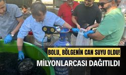 Milyonlarca yavru pullu sazan, Ankara, Sakarya, Kocaeli gibi şehirlere dağıtıldı