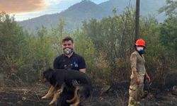 Orman yangınında alevlerin ortasındaki köpeği kurtaran görevli takdir topladı