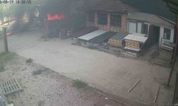 Tır sürücüsünün öldüğü facia kaza güvenlik kamerasında
