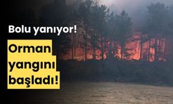 Bolu, Göynük'te orman yangını başladı
