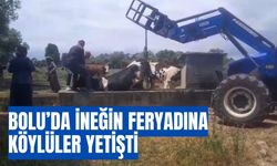 Bolu’da ineğin feryadına köylüler yetişti
