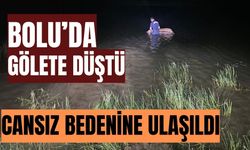 Bolu’da sulama göletine düşen buzağı öldü
