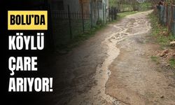 Köylü, çamurlu yol için çözüm bekliyor!