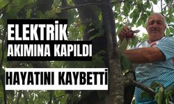 Elektrik akımına kapıldı, hayatını kaybetti