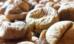 Bir avucu servet değerinde: Kilosu etle yarışıyor