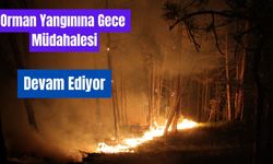 Bolu'daki yangına, gece müdahalesi devam ediyor