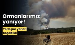 Orman yangını başladı! Evler boşaltılıyor