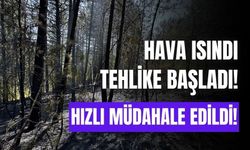 Bolu’da çıkan örtü yangını, büyümeden söndürüldü