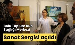 Bolu Toplum Ruh Sağlığı Merkezi Sanat Sergisi açıldı