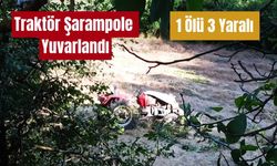 Traktör şarampole yuvarlandı: Dede hayatını kaybetti, eşi ve torunları yaralı