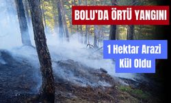 Bolu'da örtü yangını: 1 hektar zarar gördü