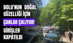 Bolu’nun doğal güzelliği için ölüm çanları çalıyor!