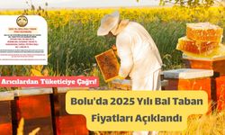 Bolu Arı Yetiştiricileri Birliği’nden 2025 Bal Fiyatları Duyurusu