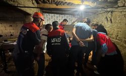 Ahırda ölü bulundu