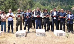 Yaylatepe’de 500 keklik doğaya salındı
