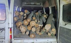 1 ton kaçak orman ürünü ele geçirildi
