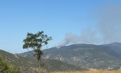 AKSARAY - Şehit Piyade Sözleşmeli Er Özkan Özkanlı'nın ailesine acı haber verildi